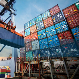 Surviving Uncertainty: Industrial Import Strategies Under Tightened Goverment Oversight