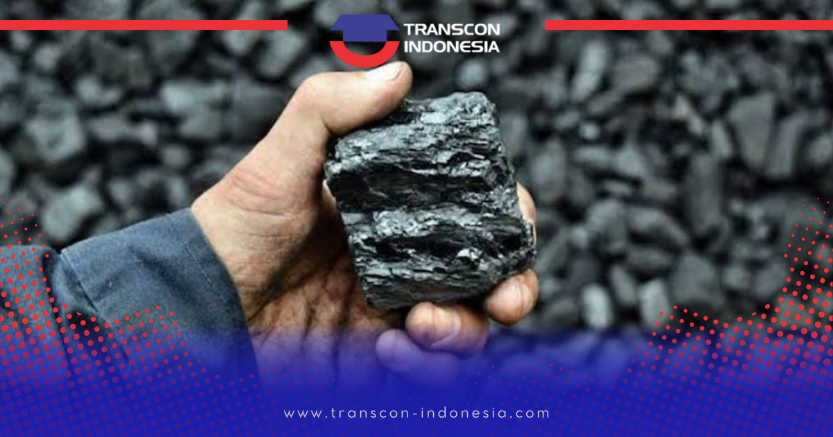政府战略和 Transcon Indonesia 在下游镍出口中的作用
